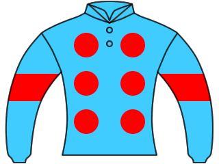 シルクホースクラブ